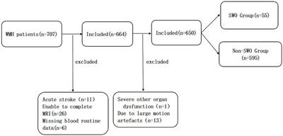 Development and validation of a predictive model for severe white matter hyperintensity with obesity